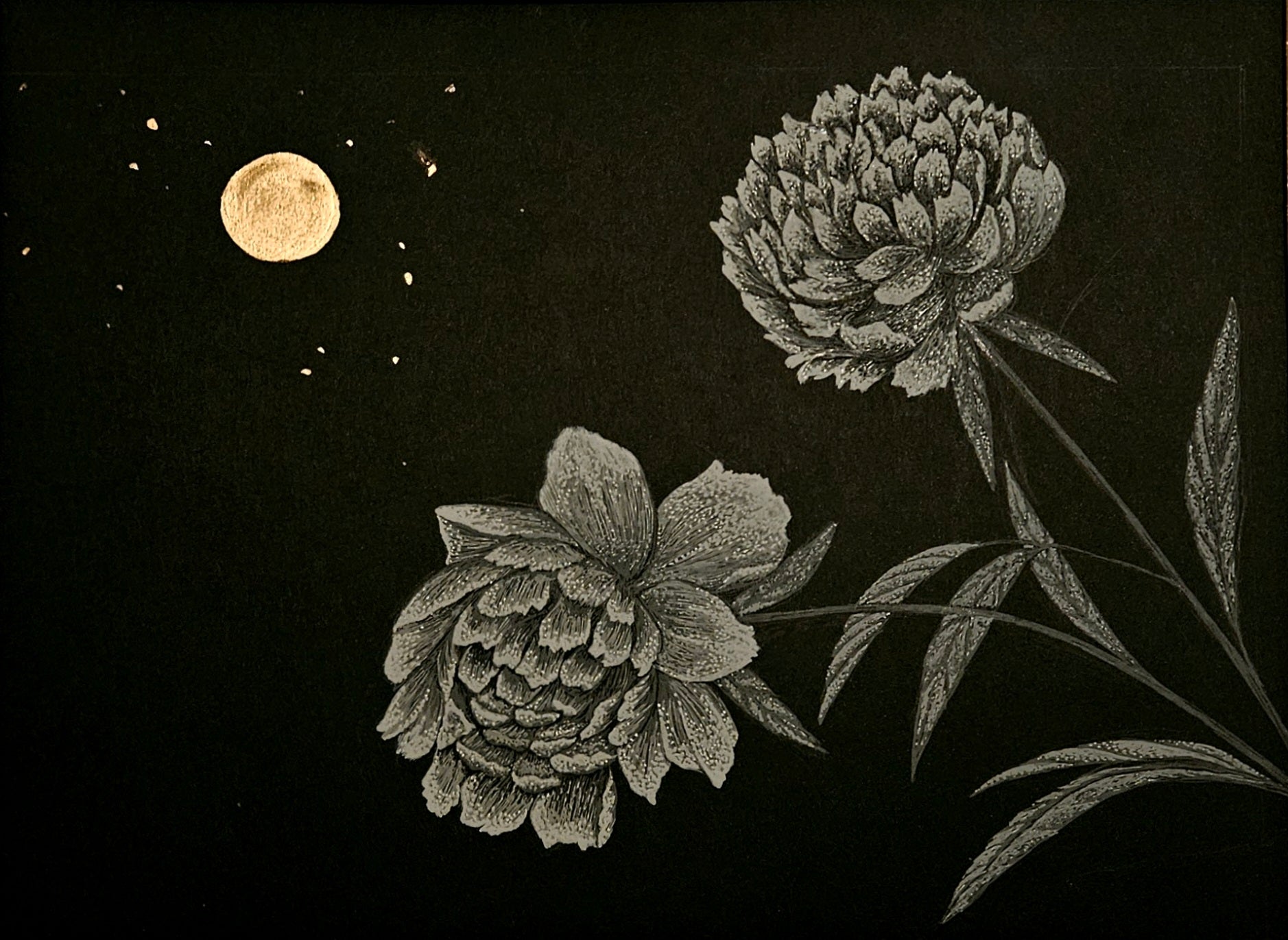 Moonlit Peonies by Holly Ridge Studio